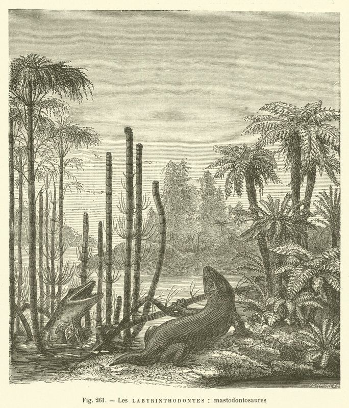 De labyrinthodonten, mastodontosauriërs (gravure) door French School