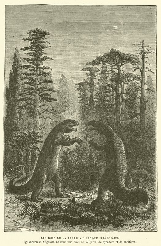 De koningen van de aarde in het Jura-tijdperk (gravure) door French School