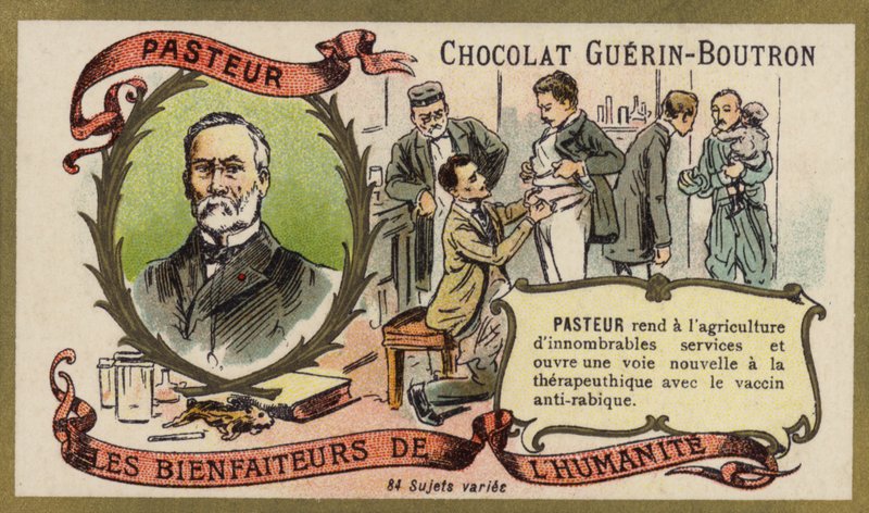 Louis Pasteur, Franse chemicus en microbioloog door French School