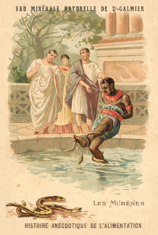 Murenen door French School