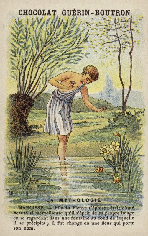 Narcissus door French School