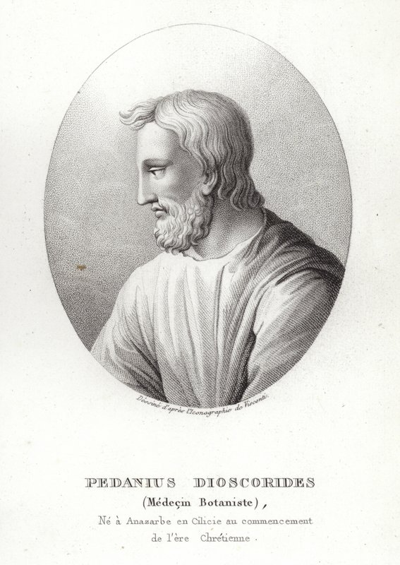 Pedanius Dioscorides door French School