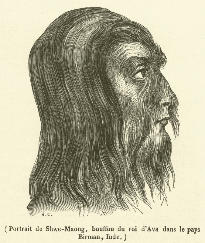 Portret van Shwe-Maong, nar van de koning van Ava in Birma, India (gravure) door French School