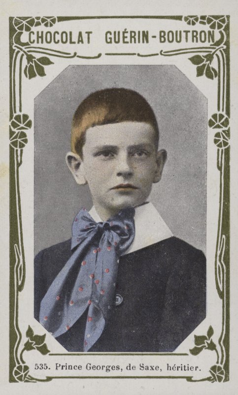 Prins George van Saksen, Erfgenaam door French School