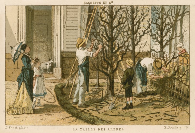 Bomen snoeien door French School