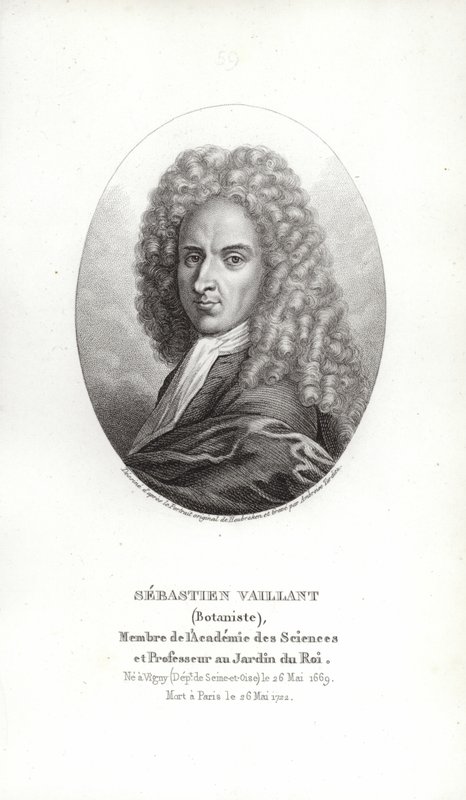 Sébastien Vaillant door French School