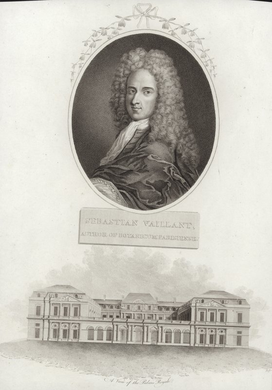 Sébastien Vaillant door French School