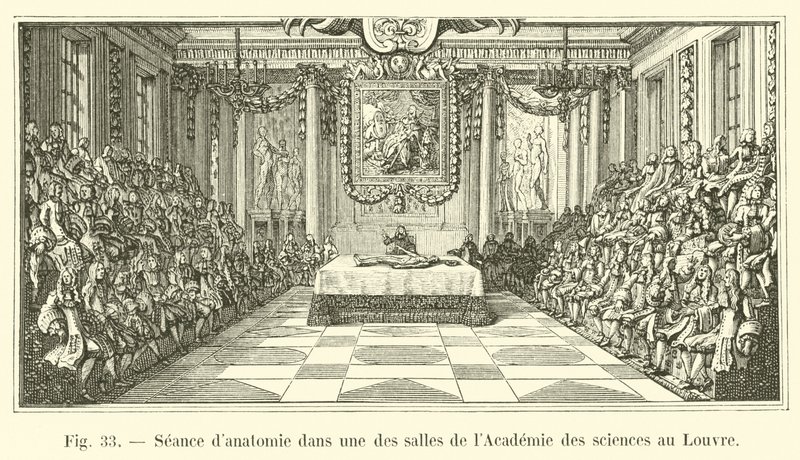 Anatomieles in een van de zalen van de Academie van Wetenschappen in het Louvre door French School