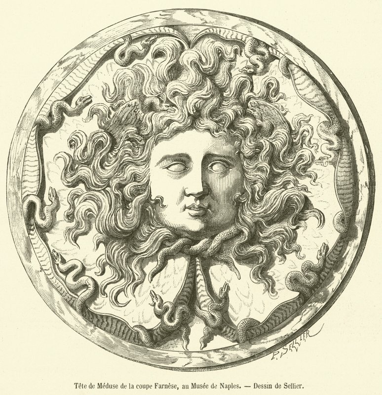 Hoofd van Medusa van de Farnese kom, in het museum van Napels door French School