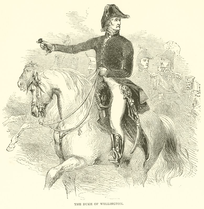 De hertog van Wellington (gravure) door French School