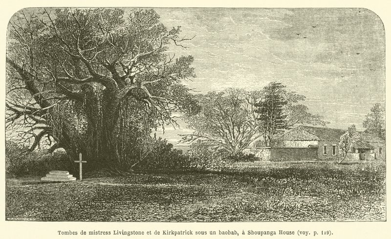 Graven van mevrouw Livingstone en Kirkpatrick onder een baobab, bij Shoupanga House door French School