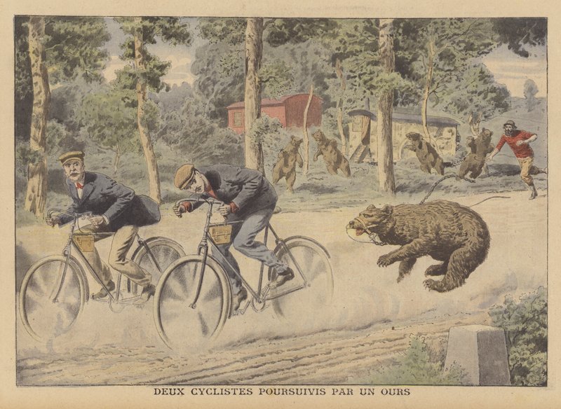 Twee fietsers achtervolgd door een ontsnapte beer door French School