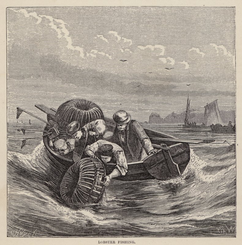Kreeftvissen door Friedrich Specht