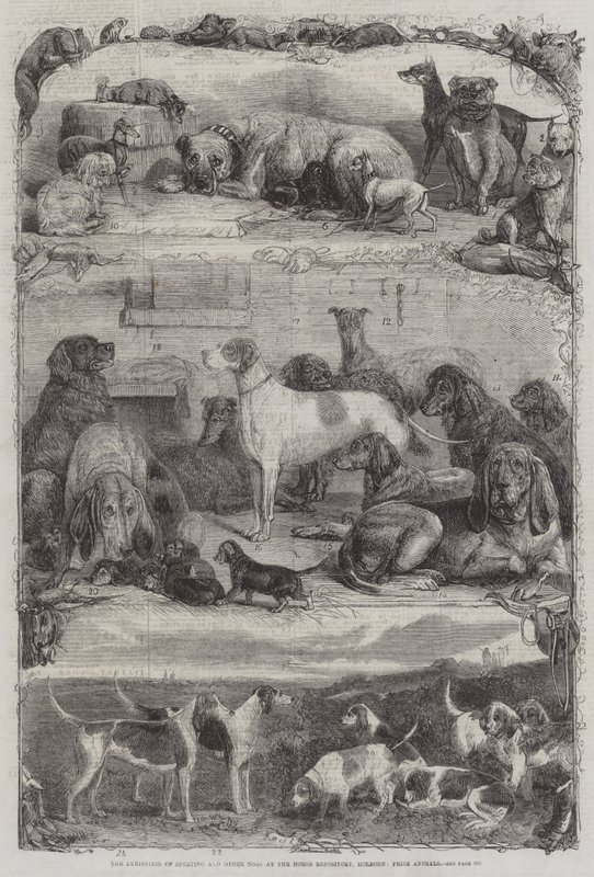 De Tentoonstelling van Sport- en andere Honden in de Paardenrepository, Holborn, Prijsdieren door Friedrich Wilhelm Keyl