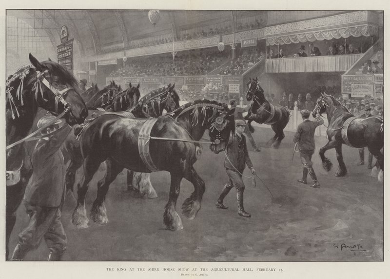 De Koning op de Shire Horse Show in de Agricultural Hall, 27 februari door G.S. Amato