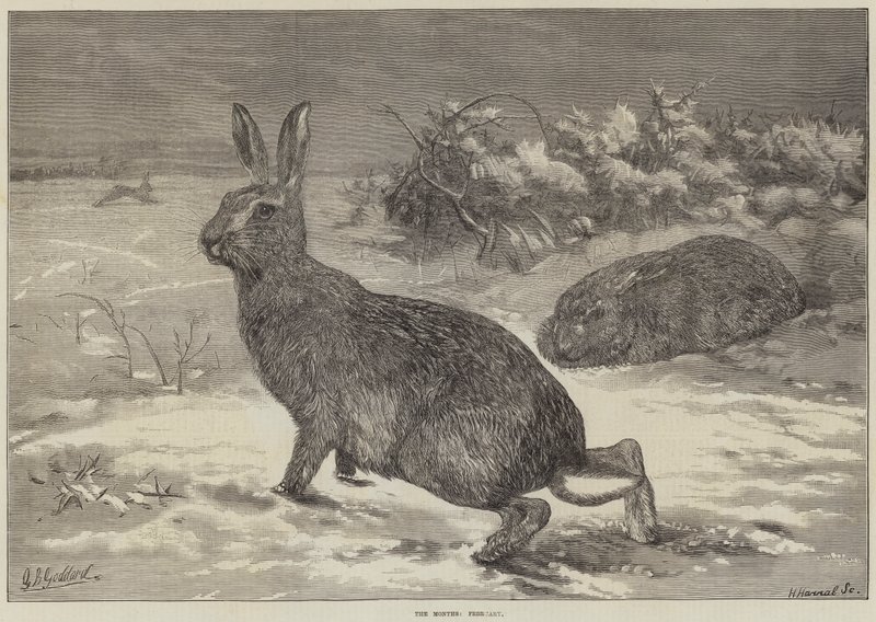 De maanden, februari door George Bouverie Goddard