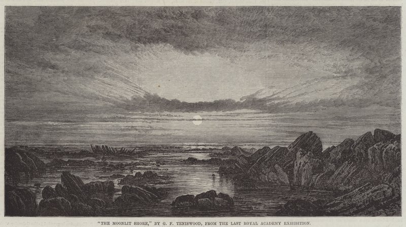 De Maanverlichte Kust door George F. Teniswood