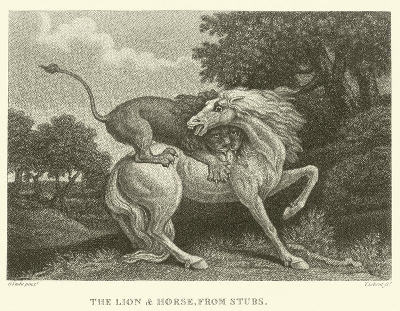 De Leeuw en het Paard, van Stubs door George (after) Stubbs