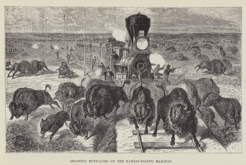 Buffels schieten op de Kansas-Pacific Railway door George Augustus Sala