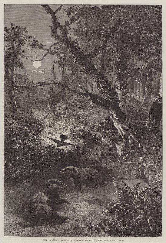 Het hol van de das, een zomernacht in het bos door George Bouverie Goddard
