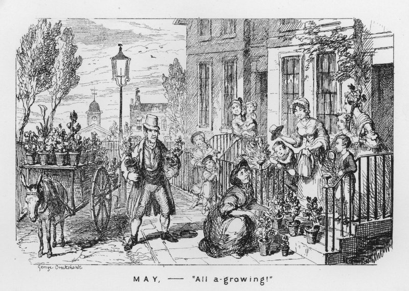 Mei, Alles groeit door George Cruikshank