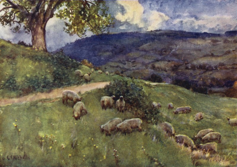 Een Cotswold Schapenweide door George Franck Nicholls