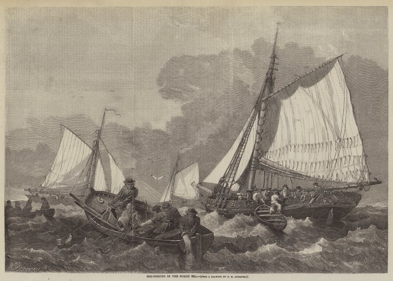 Kabeljauw vissen in de Noordzee door George Henry Andrews