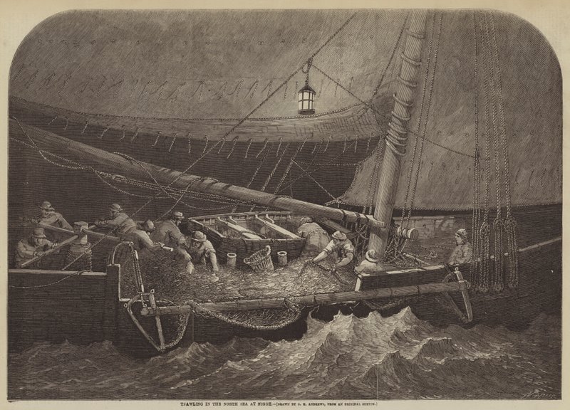 Trawlen in de Noordzee 