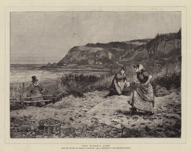 De Akker van de Weduwe door George Henry Boughton