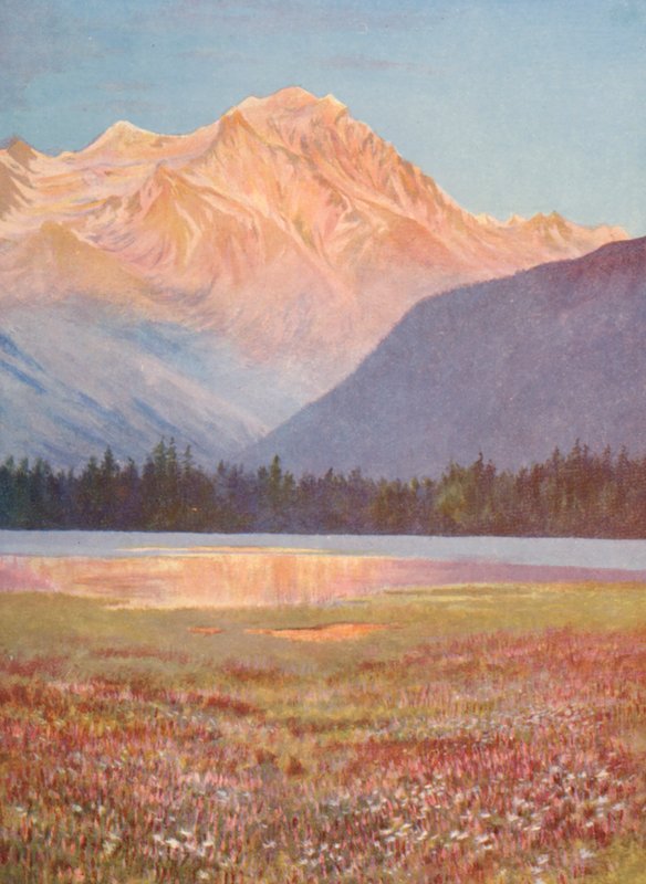 Avond tussen de velden van roze Bistort bij Lac Champex; zonsondergang op de Grand Combin, juli door George Jackson Flemwell