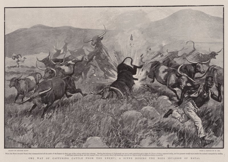 Een Manier om Vee van de Vijand te Vangen, een Scène tijdens de Boereninvasie van Natal door Georges Bertin Scott