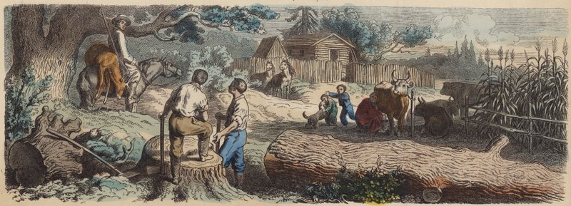 Een nieuwe nederzetting in het Amerikaanse Westen (gekleurde gravure) door German School