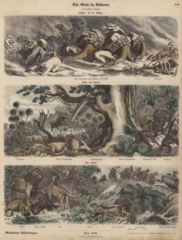 Afrika: een karavaan gevangen in een zandstorm in de Sahara; de kust van Guinee; Zuid-Afrika (gekleurde gravure) door German School