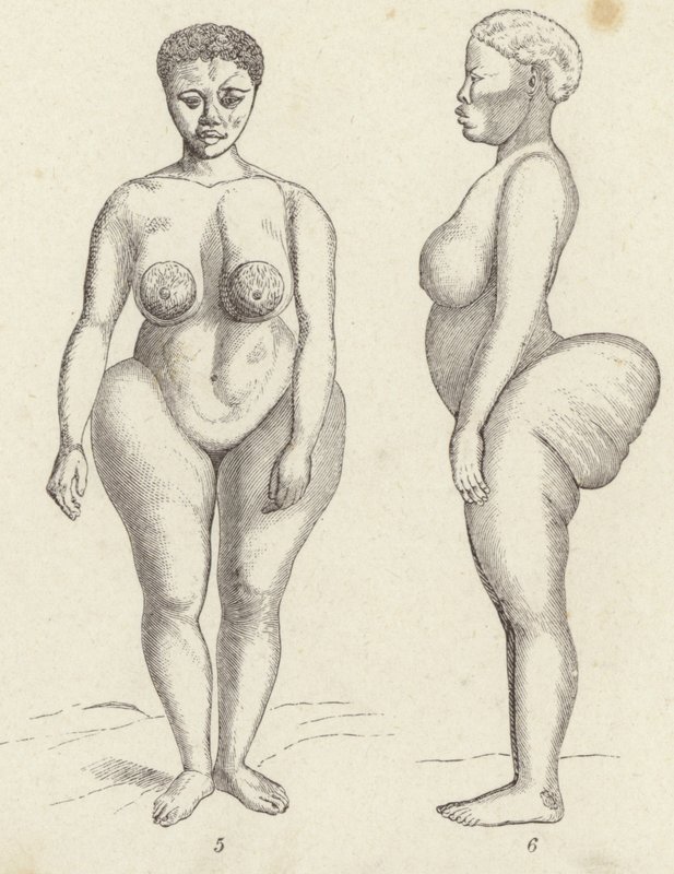 Hottentot Venus door German School