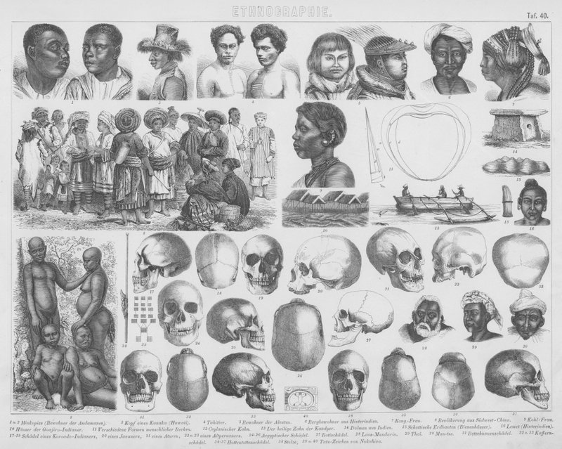 Illustratie voor Bilder-Atlas: Rassen en schedels door German School