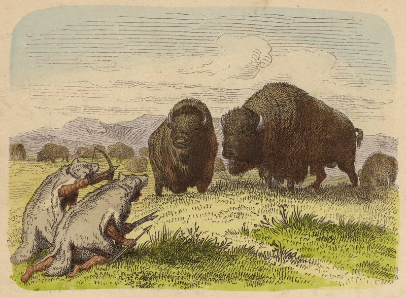Inheemse Amerikanen dragen wolvenvellen en jagen op buffels (gekleurde gravure) door German School