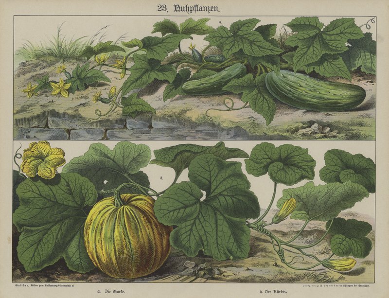 Planten door German School