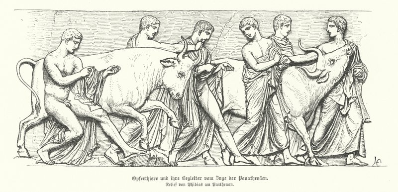 Offerdieren in de Oud-Griekse processie van de Panathenaia (gravure) door German School