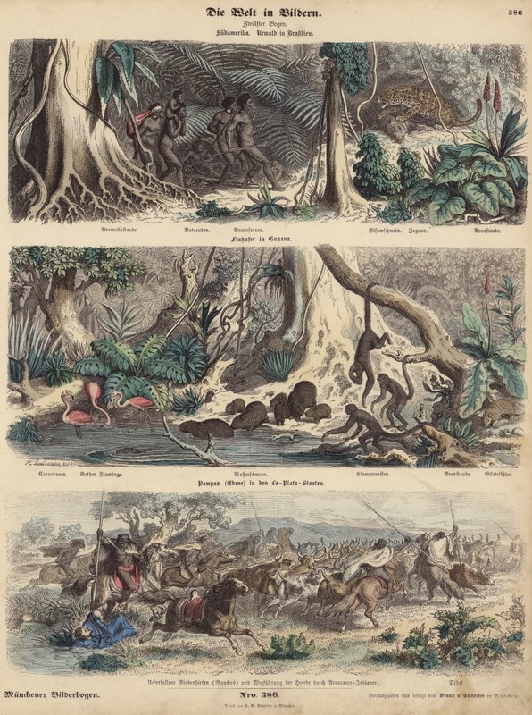 Zuid-Amerika: jungle in Brazilië; oever in Guiana; Indianen verrassen Gaucho
