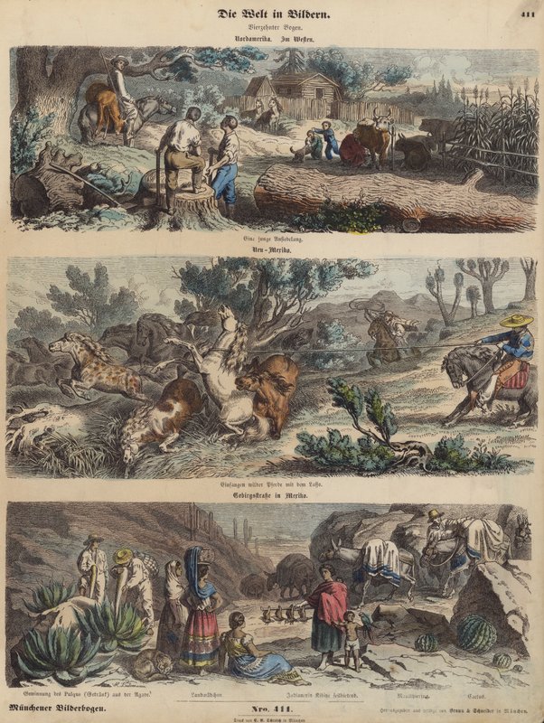 Het Amerikaanse Westen: een nieuwe nederzetting; wilde paarden vangen in New Mexico; een bergweg in Mexico (gekleurde gravure) door German School