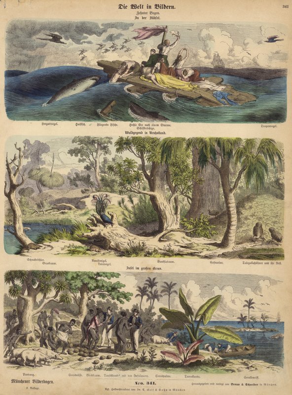 De Stille Oceaan: schipbreukelingen op een vlot in de Zuidzee; bos in Nieuw-Holland (Australië); een eiland in de Stille Oceaan (gekleurde gravure) door German School
