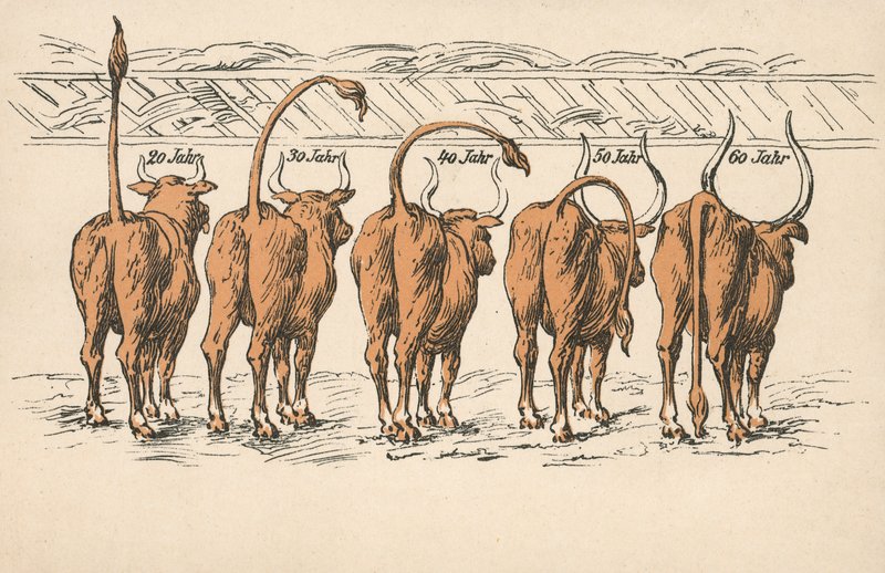 De effecten van veroudering (kleurenlitho) door German School