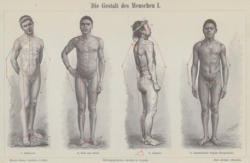 Het menselijk figuur door German School