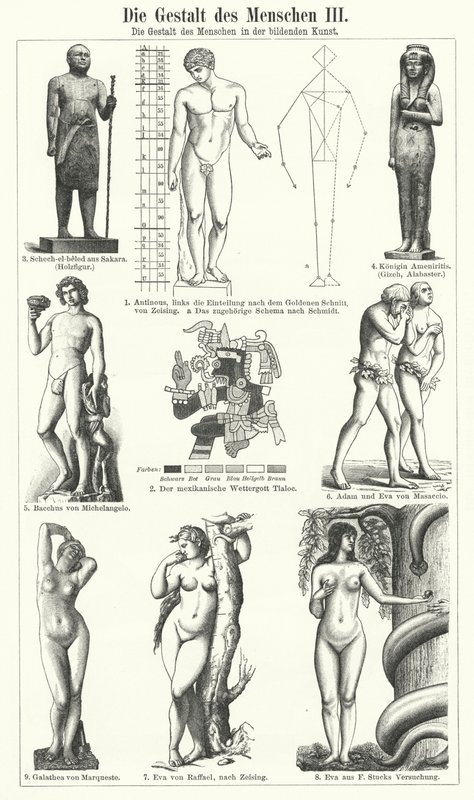 Het menselijk figuur in de beeldende kunst door German School