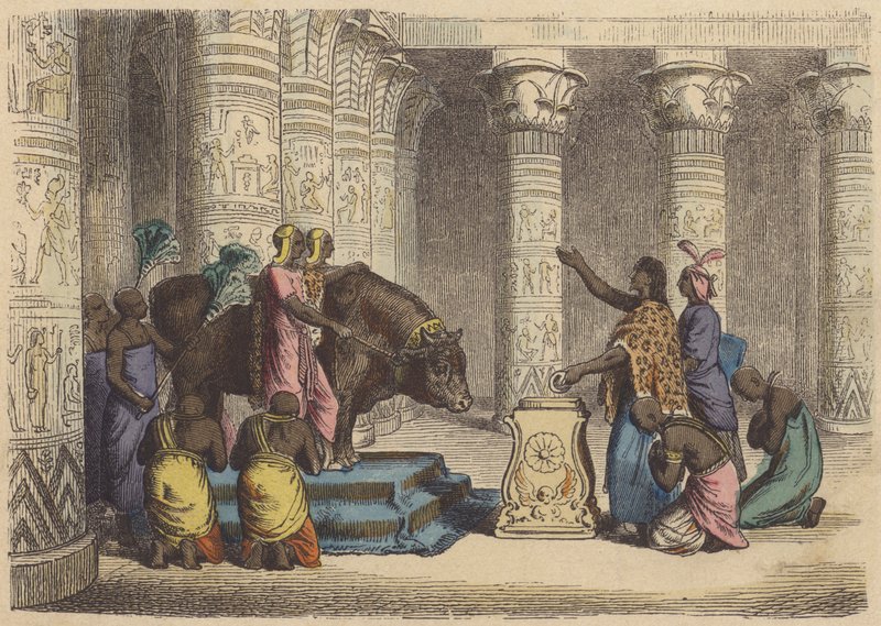 Aanbidding van de Apis-stier in het oude Egypte door German School