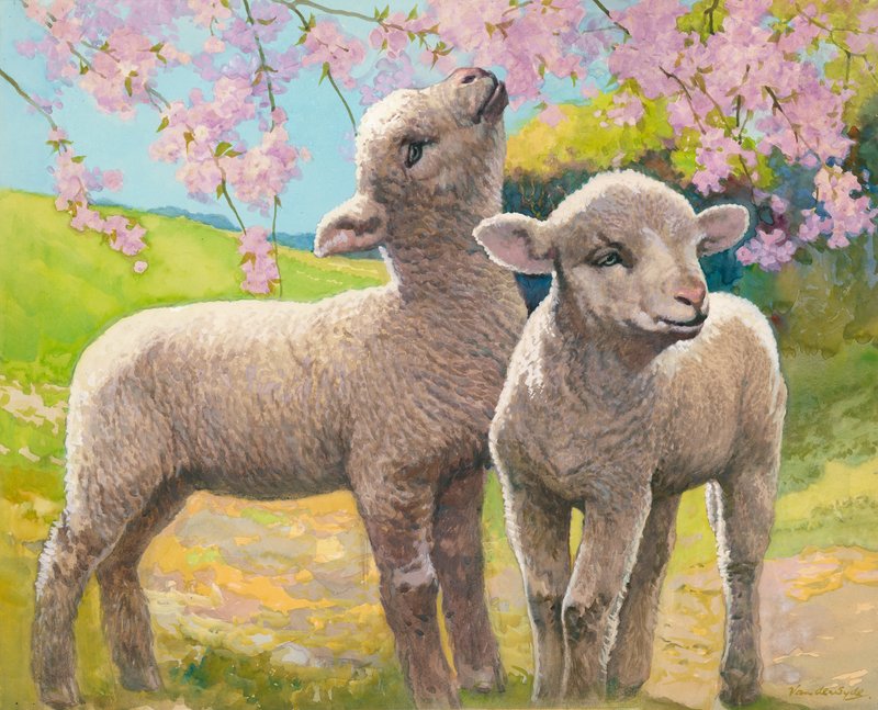 Twee lammetjes eten bloesem (gouache op papier) door Gerritt Vandersyde