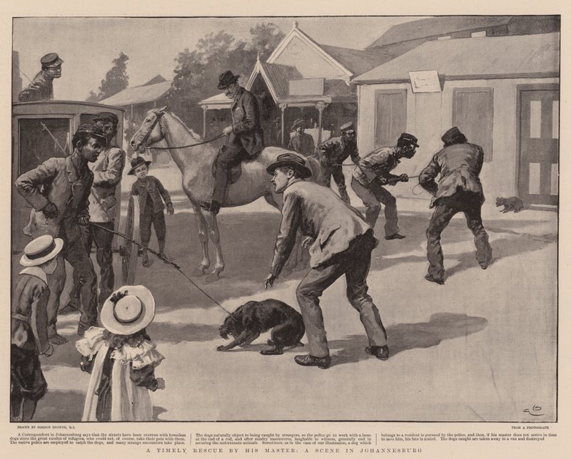Een Tijdige Redding door zijn Meester, een Scène in Johannesburg door Gordon Frederick Browne