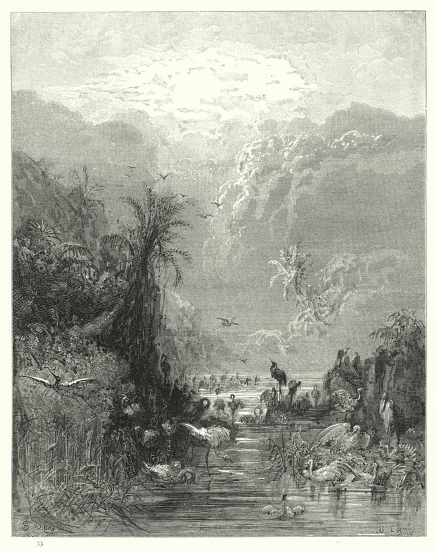 Illustratie van Gustave Doré voor Miltons Paradise Lost, Boek VII, regels 417, 418 door Gustave Dore
