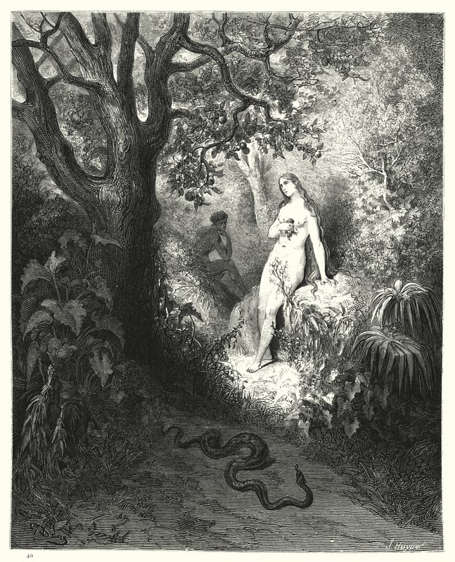 Illustratie van Gustave Doré voor Miltons Paradise Lost, Boek IX, regels 784, 785 door Gustave Dore