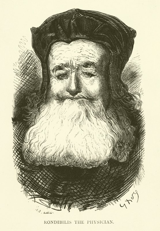 Illustratie voor de werken van Rabelais door Gustave after Dore